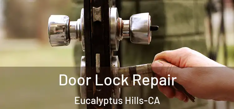  Door Lock Repair Eucalyptus Hills-CA