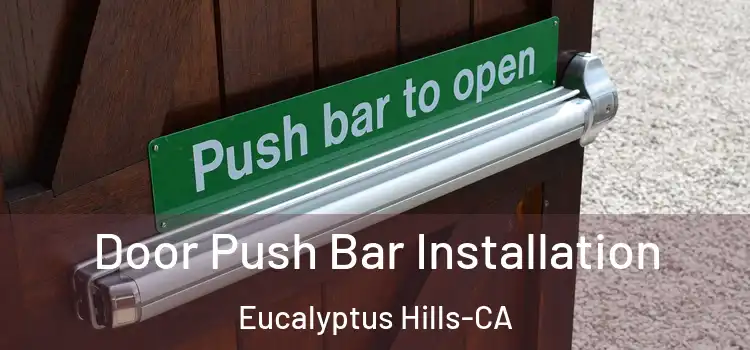  Door Push Bar Installation Eucalyptus Hills-CA