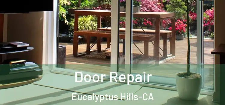 Door Repair Eucalyptus Hills-CA