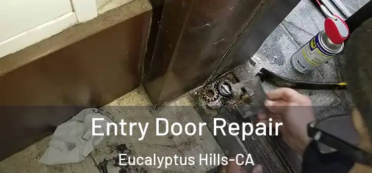  Entry Door Repair Eucalyptus Hills-CA