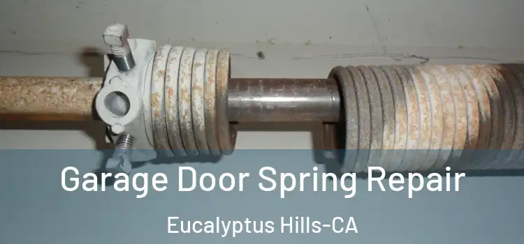  Garage Door Spring Repair Eucalyptus Hills-CA