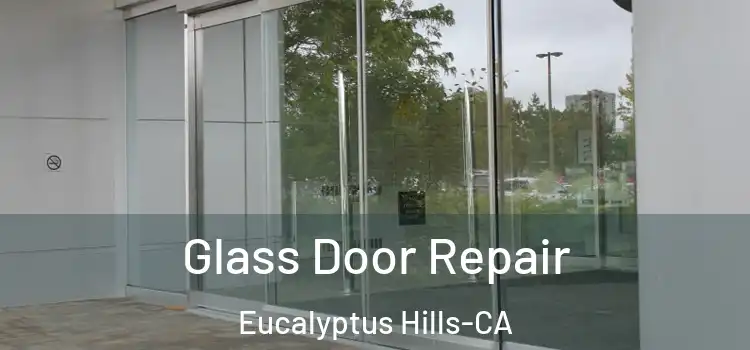  Glass Door Repair Eucalyptus Hills-CA