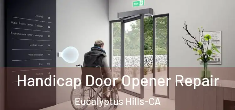  Handicap Door Opener Repair Eucalyptus Hills-CA