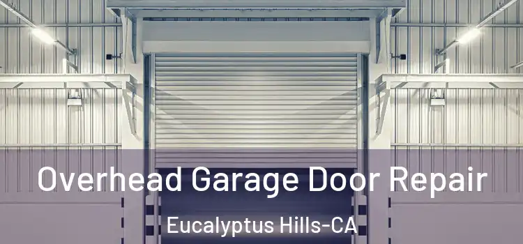  Overhead Garage Door Repair Eucalyptus Hills-CA